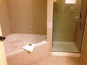 Jetted Tub And Shower Combination