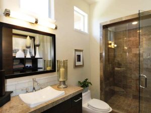 Elegant Small Shower Baths