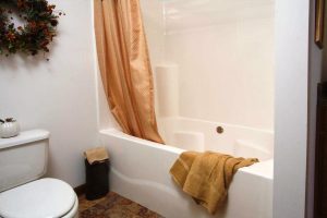 Garden Tub Shower