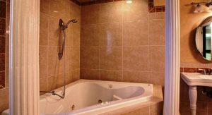 Garden Tub Shower Combo