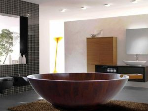 Round Bathtub With Shower