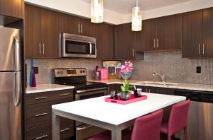 Exquisite Kitchen Design Furniture