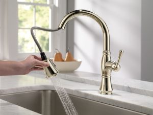 Kitchen Faucet With Pull Out Sprayer Nickel